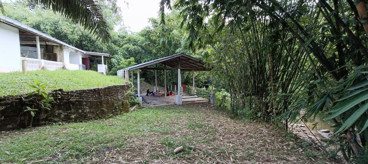 Green Campsite @ Hulu Tamu - Copy